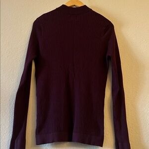 Zara Deep Burgundy Ribbed Knit Top